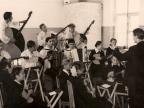 оркестр народных инструментов 